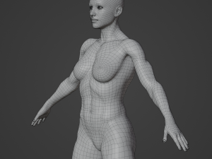 Average Musculistic Woman Body Low Poly Basemesh 3D Model