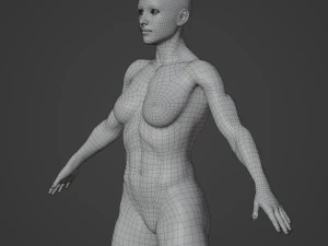 Average Musculistic Woman Body Low Poly Basemesh 3D Model
