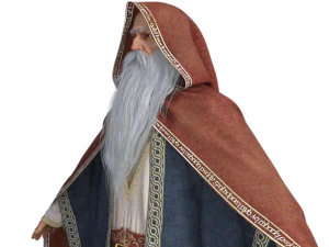 Wizard Realistic Character 3D Model