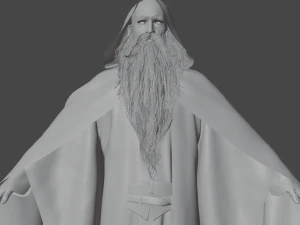 Wizard Realistic Character 3D Model