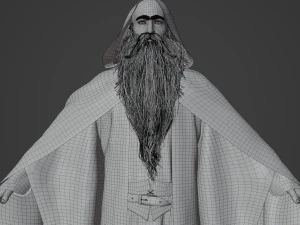 Wizard Realistic Character 3D Model