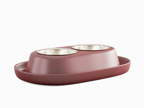 Plastic Pet Bowl 03 Modèle 3D