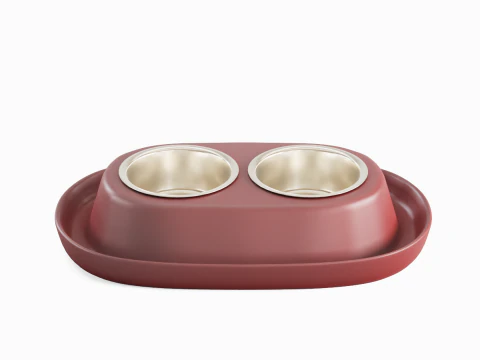 Plastic Pet Bowl 03 3D Model