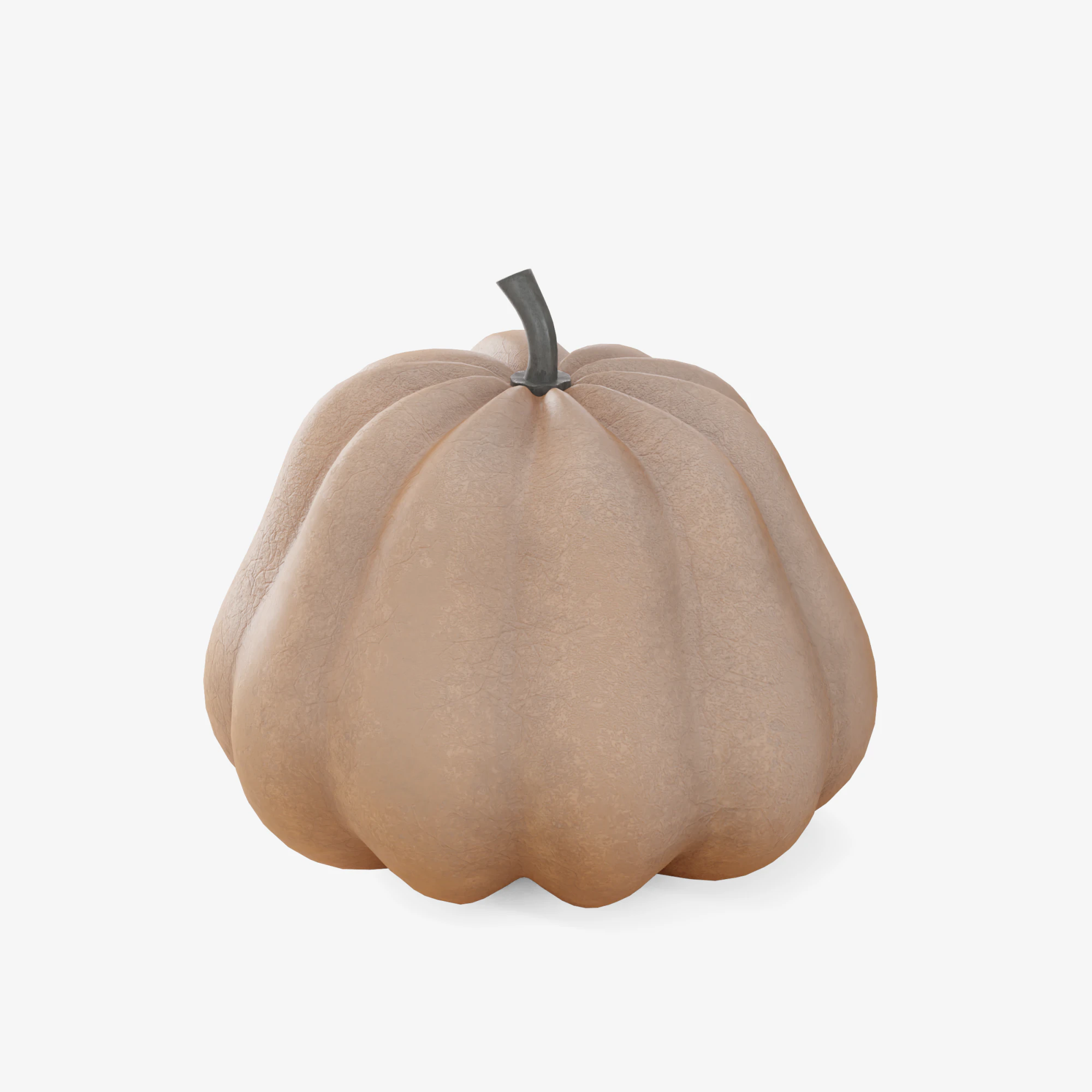 Realistic Pumpkin 3D Model .c4d .max .obj .3ds .fbx .stl .blend 