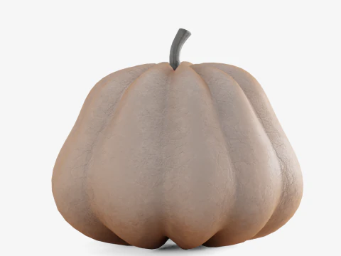 Realistic Pumpkin 3D Model