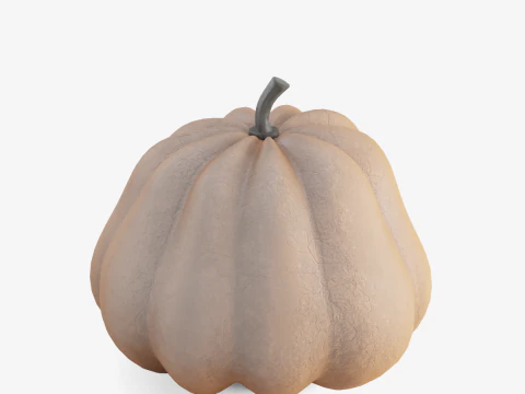 Realistic Pumpkin 3D Model