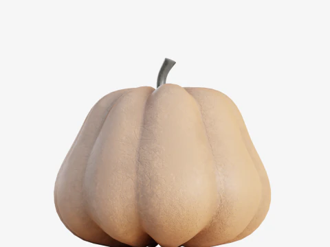 Realistic Pumpkin 3D Model