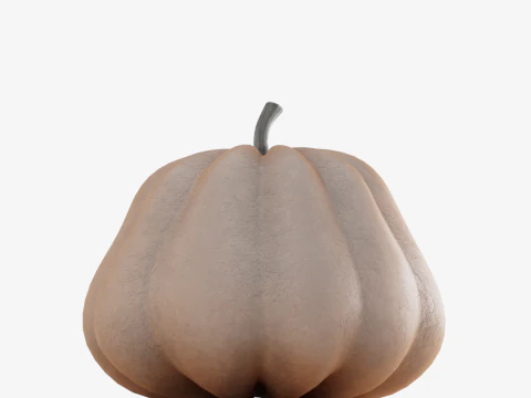 Realistic Pumpkin 3D Model