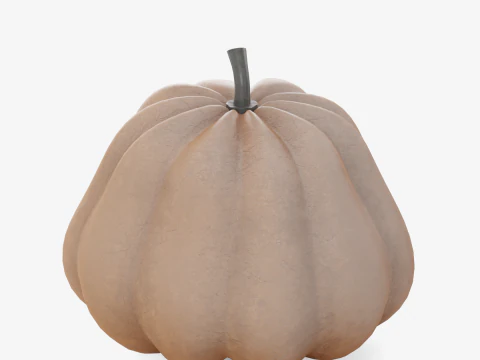 Realistic Pumpkin 3D Model