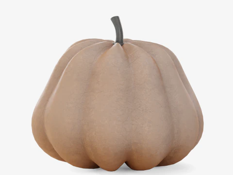 Realistic Pumpkin 3D Model
