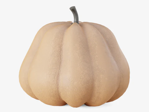 Realistic Pumpkin 3D Model