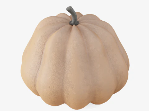 Realistic Pumpkin 3D Model