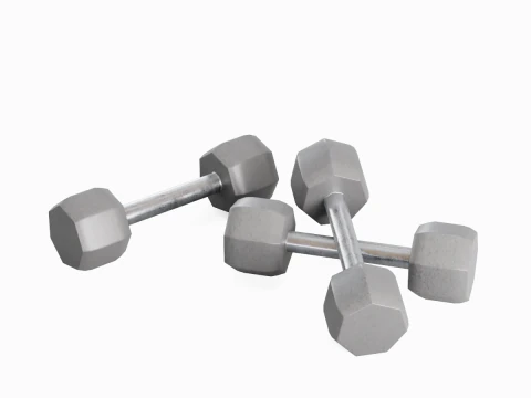 Halt&egrave;re en acier 02 Modèle 3D