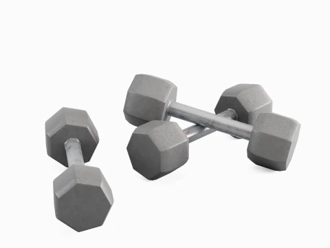 Steel Dumbell 02 3D Model