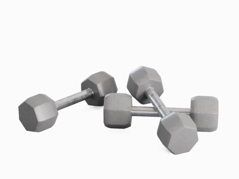Steel Dumbell 02 3D Model
