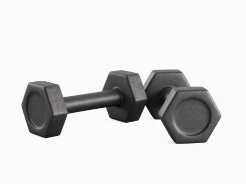 Small Rubber Dumbell 01 3D Model