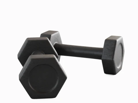 Small Rubber Dumbell 01 3D Model