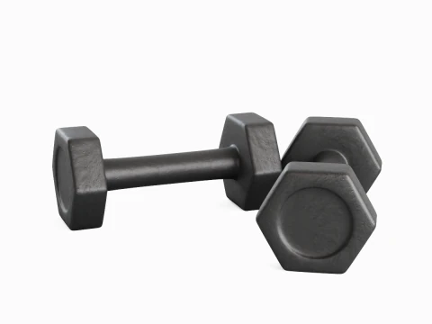 Small Rubber Dumbell 01 3D Model