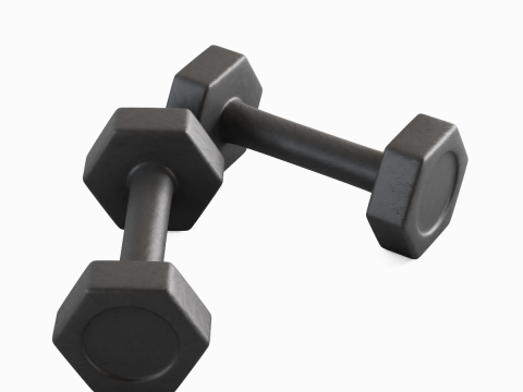 Small Rubber Dumbell 01 3D Model