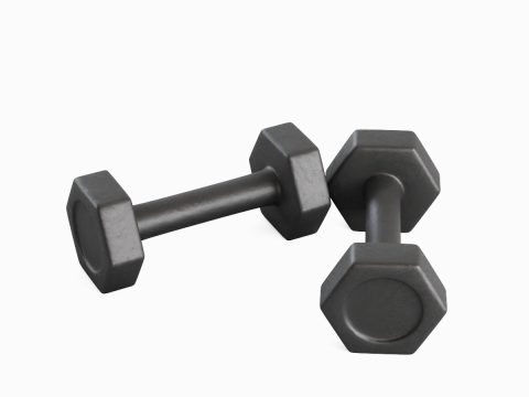 Small Rubber Dumbell 01 3D Model