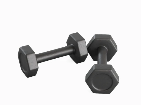 Small Rubber Dumbell 01 3D Model