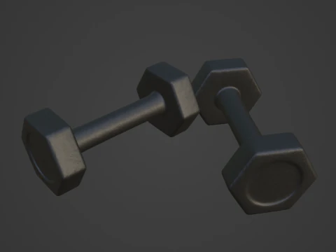 Small Rubber Dumbell 01 3D Model