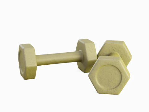 Small Rubber Dumbell 06 3D Model