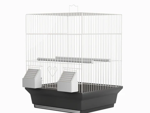 Birdcage Silver 3D Model