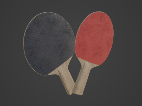 Table Tennis Rackets Model 3D