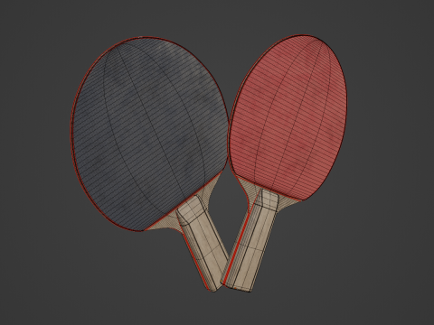 Table Tennis Rackets Model 3D