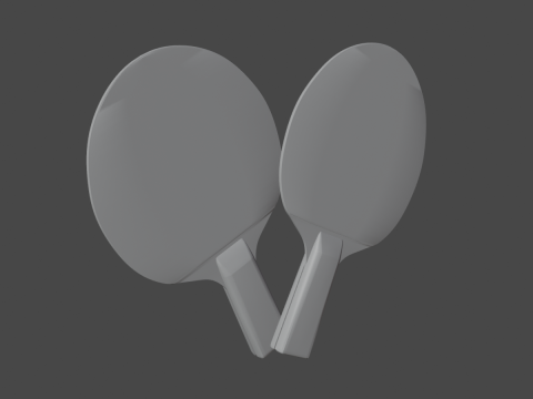 Table Tennis Rackets Model 3D