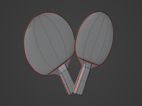 Table Tennis Rackets Model 3D