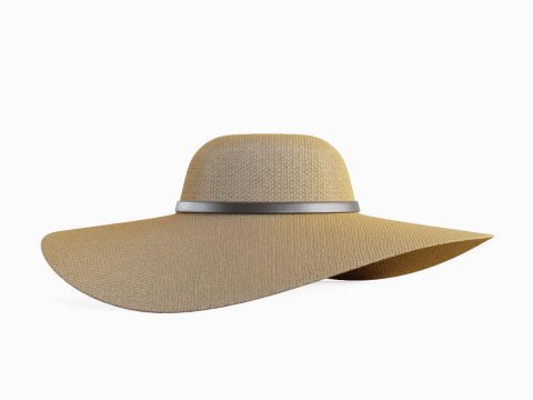 Straw Sun Hat 01 3D 모델