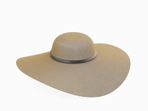 Straw Sun Hat 01 3D Model