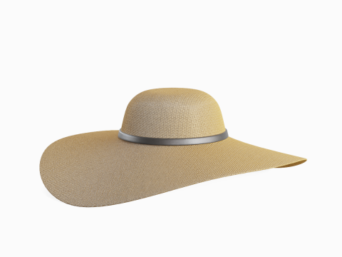 Straw Sun Hat 01 3D 모델