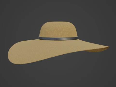 Straw Sun Hat 01 3D Model