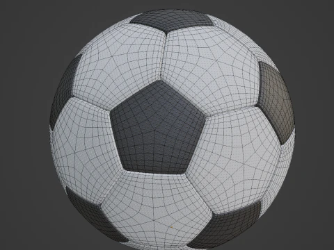 Modern Leather Soccer Ball 3D Model