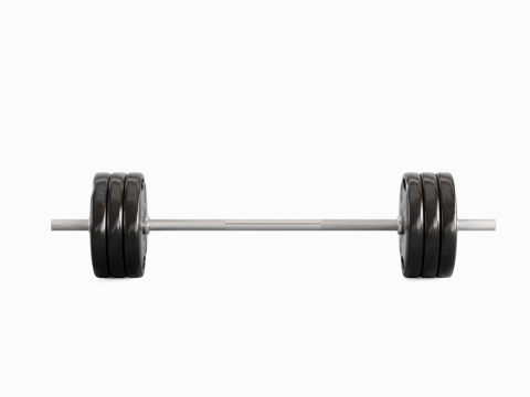 Techno Gym Barbell 01 Model 3D