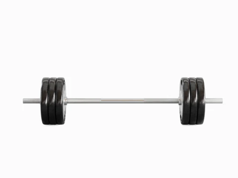 Techno Gym 杠铃 02 3D 模型