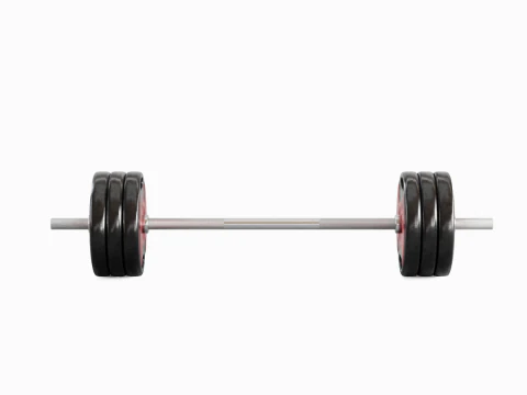 Techno Gym Barbell 05 3D Model