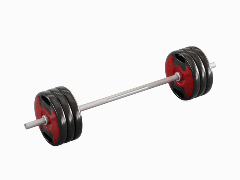 Techno Gym Barbell 05 Model 3D
