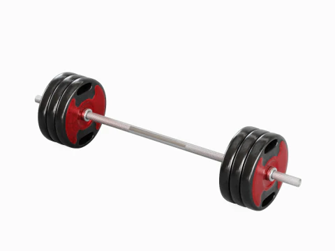 Techno Gym Barbell 05 3D Model