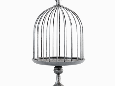 Metal Birdcage 01 3Dモデル