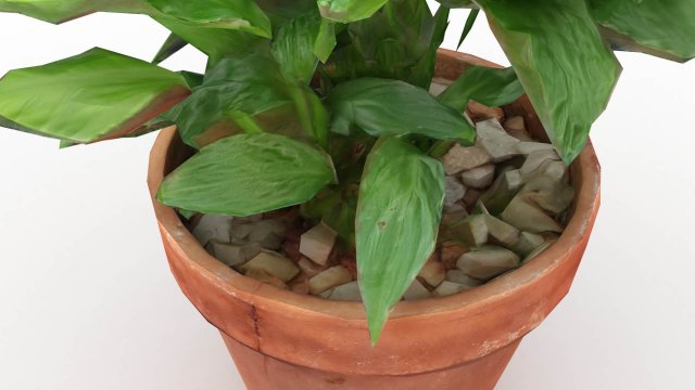 Plant and pot drawn in 3 dimensions Modelo 3D .c4d .max .obj .3ds .fbx .stl .blend 