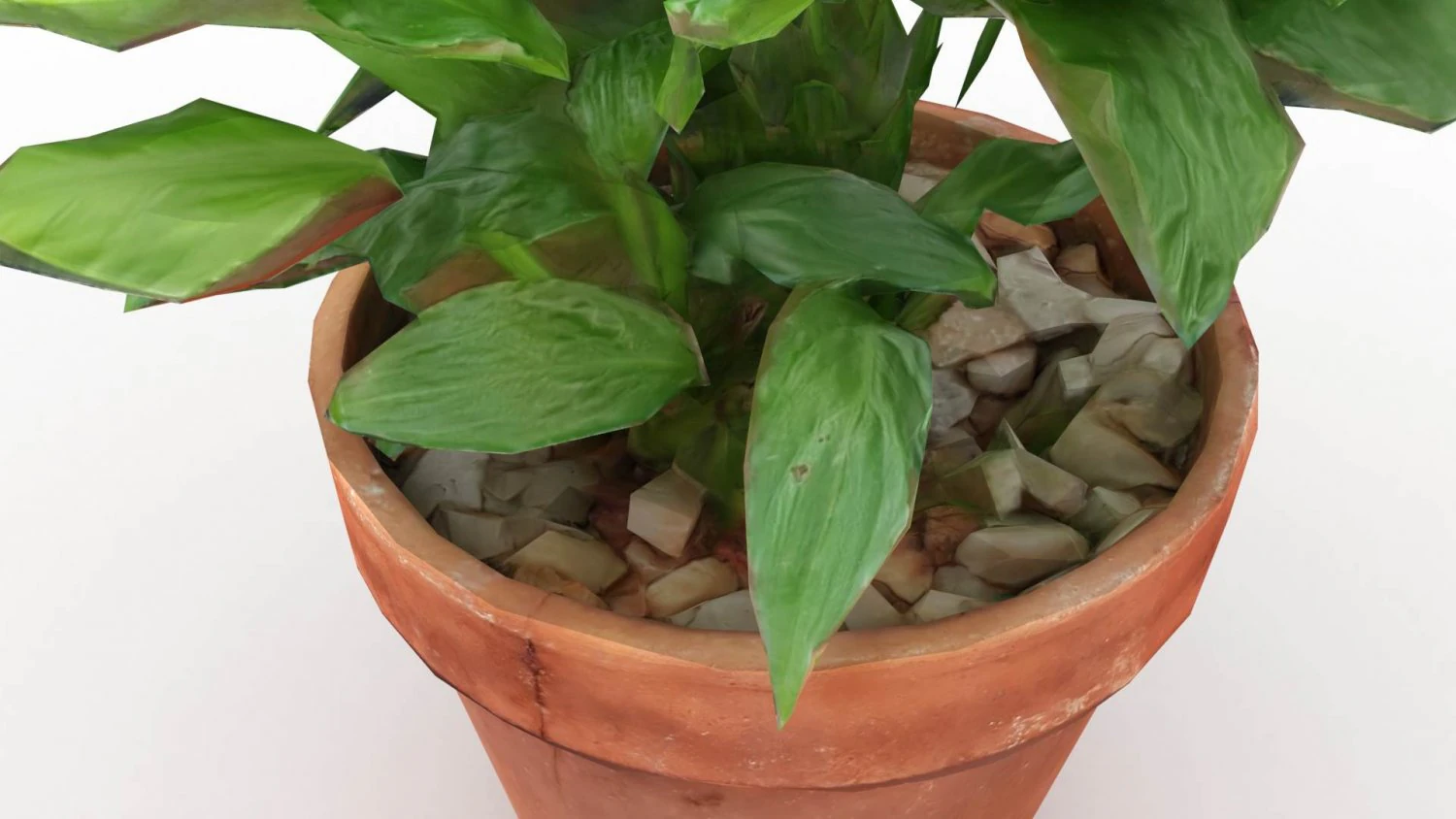 Plant and pot drawn in 3 dimensions 3D Model .c4d .max .obj .3ds .fbx .stl .blend