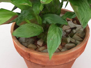 Plant and pot drawn in 3 dimensions 3D Model
