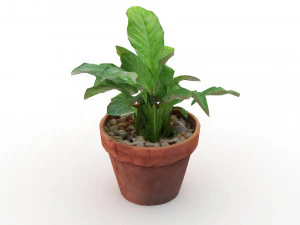 Plant and pot drawn in 3 dimensions 3D Model