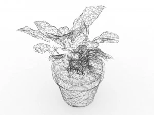 Plant and pot drawn in 3 dimensions 3D Model