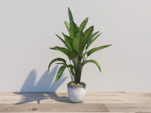 Plants potted plants landscape trees cacti green plants Modèle 3D