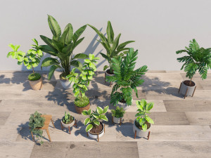 Plants potted plants landscape trees cacti green plants Modèle 3D